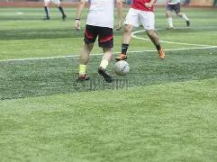 神秘透视,揭秘排列三,期精华组选,500万网彩票,500万网彩票APP,500万网彩票网页版,500万网彩票下载,500万网彩票官网