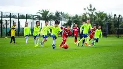 【桔香飘溢】2025139期双色球矩阵秘术精准杀红选胆，只需2元轻松赢大奖！