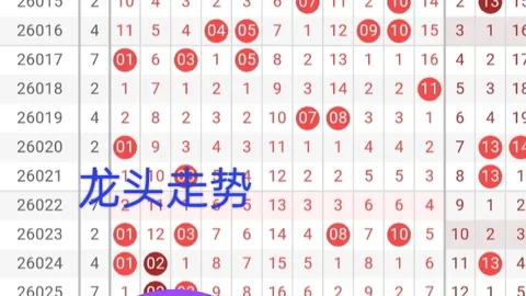 大乐透期号专家推荐：质合分析选号技巧和值策略