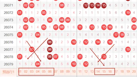 第2026076期 大乐透2026076期专家质合分析推荐前