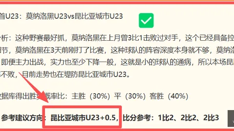 老鹰对阵灰熊精彩对决，夏联神准表现盘点